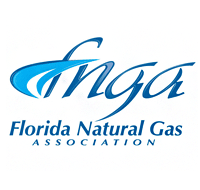 Natural Gas Reliability