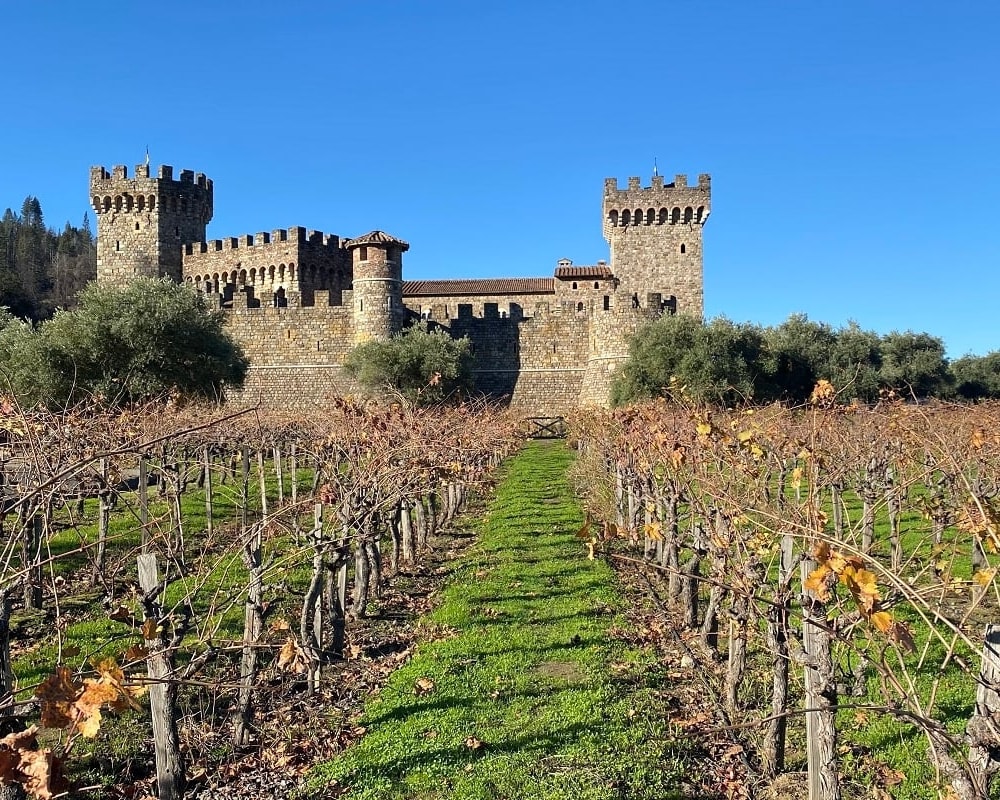 Castello Winery 
