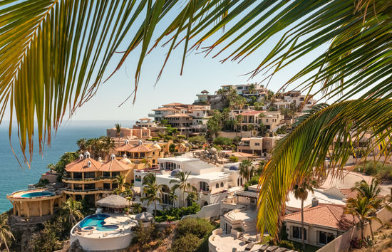 Image of homes in Cabo Mexico next to the Pacific Ocean with palm frans in the forground