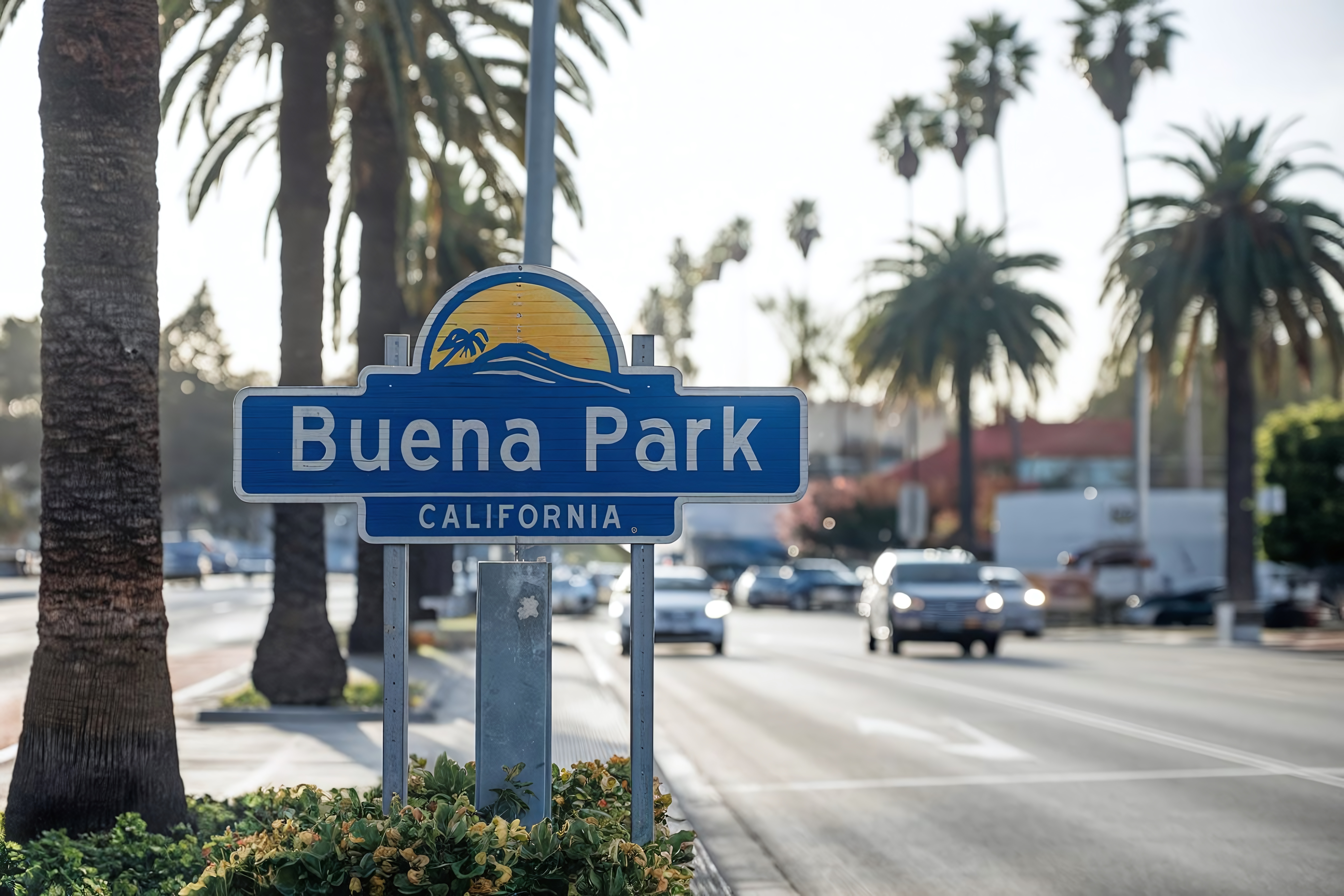 Image of the welcome sign to Buena Park, California with palm trees and cars on the streets in the background.