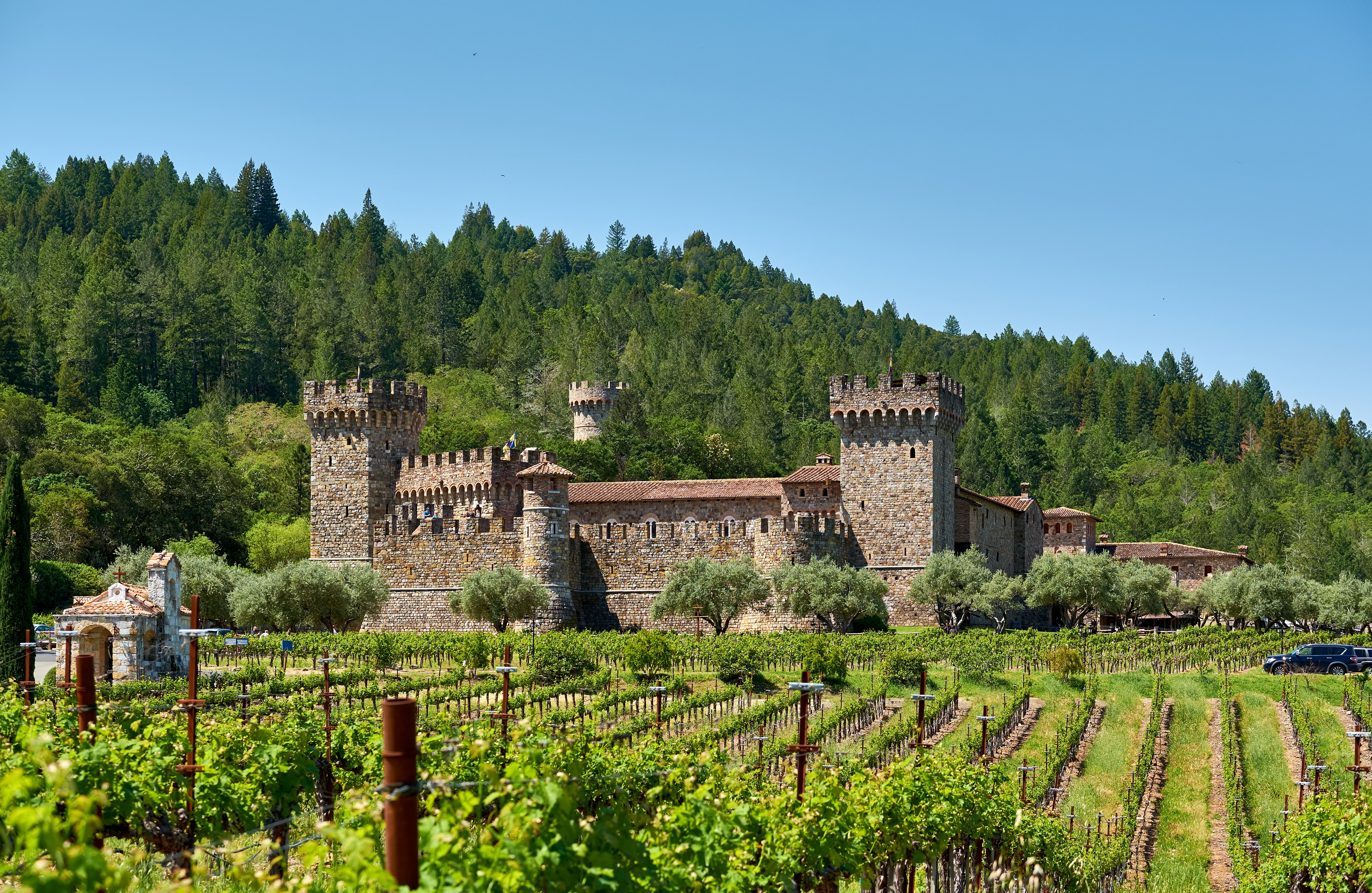 Castello Di Amorosa in Napa Valley, California—now supported by a Generac solar-plus-storage microgrid for clean energy and backup power during outages.