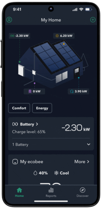 In the Palm of Your Hand